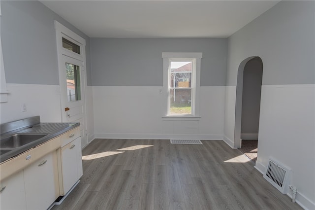 unfurnished dining area featuring light hardwood / wood-style floors, sink, and plenty of natural light