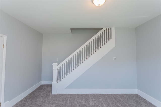 stairway featuring carpet floors