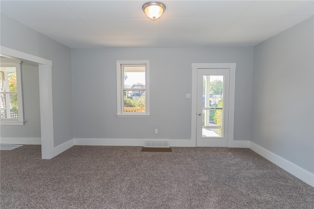 carpeted empty room featuring a wealth of natural light