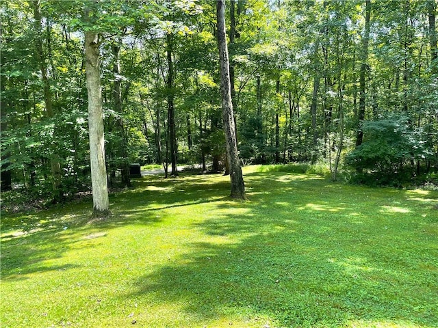 1197 Bankson Rd, Pa, PA 16301 - view of yard