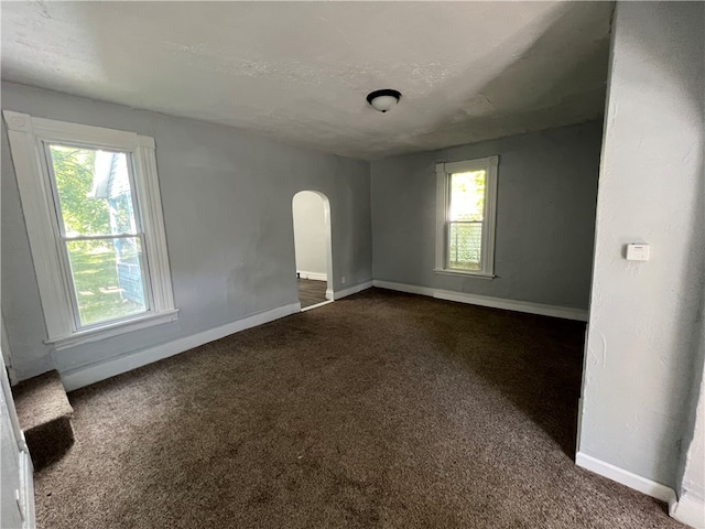 carpeted empty room with a wealth of natural light and a textured ceiling