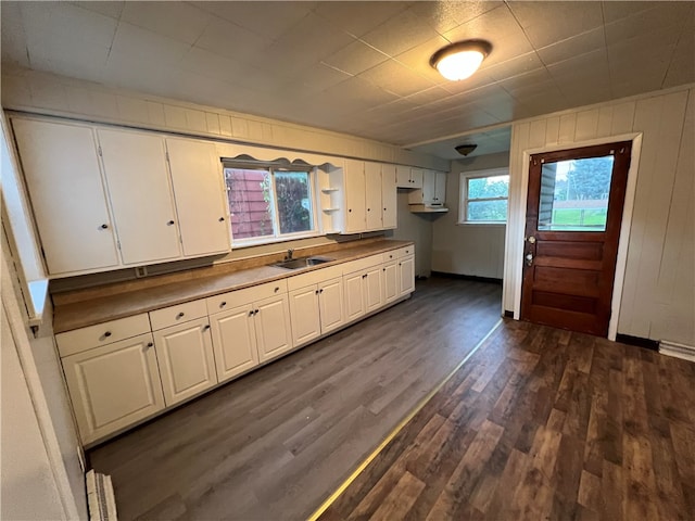 kitchen featuring sink, white cabinetry, dark hardwood / wood-style floors, and wood walls