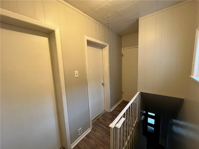 hallway featuring wooden walls and dark wood-type flooring