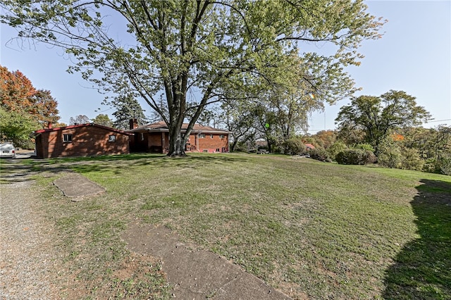 view of yard
