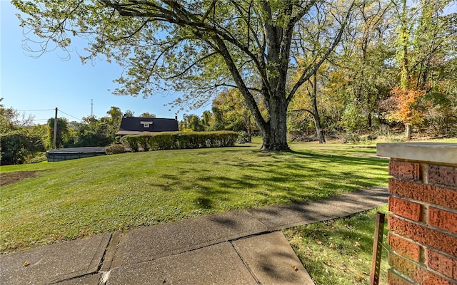 view of yard