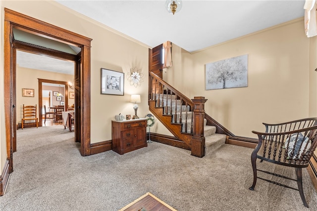 stairs with carpet floors