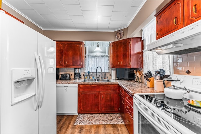 kitchen with tasteful backsplash, ornamental molding, dark wood-type flooring, sink, and white appliances