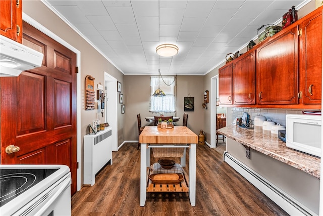 kitchen with decorative backsplash, a baseboard radiator, radiator, dark hardwood / wood-style floors, and crown molding