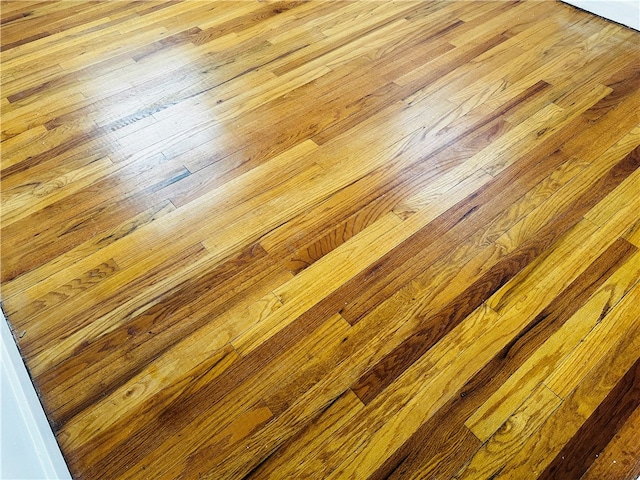 details with hardwood / wood-style floors