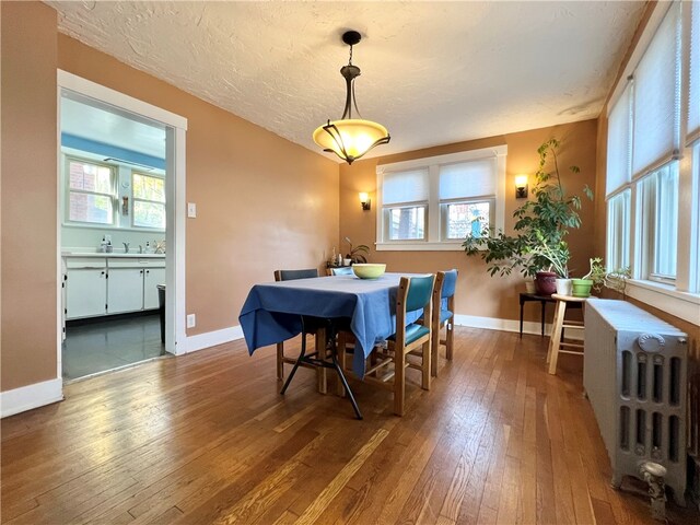 dining room featuring a healthy amount of sunlight, hardwood / wood-style flooring, and radiator heating unit