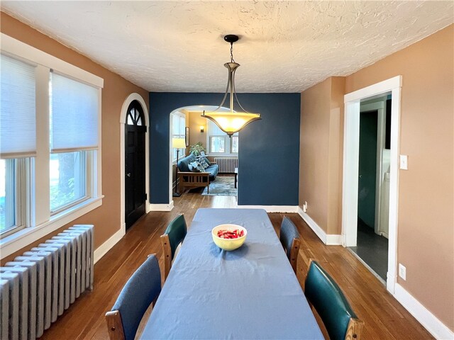 dining space with radiator heating unit, a wealth of natural light, and hardwood / wood-style floors