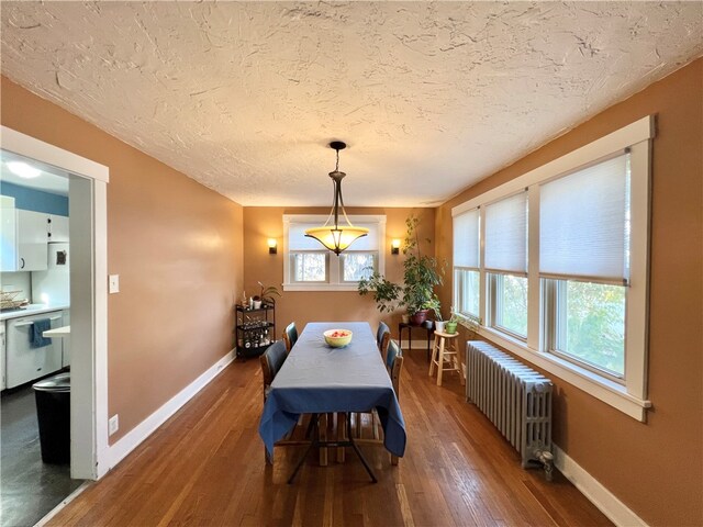 dining space featuring dark wood-type flooring, a textured ceiling, radiator, and a wealth of natural light