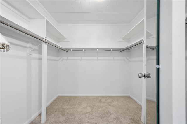 spacious closet with light carpet