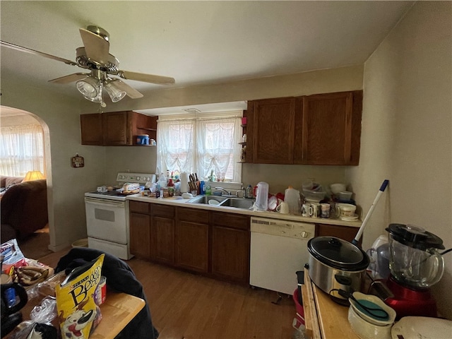 kitchen with sink, white appliances, hardwood / wood-style floors, and a healthy amount of sunlight