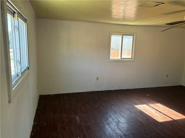 spare room with ornamental molding, dark wood-type flooring, and ceiling fan