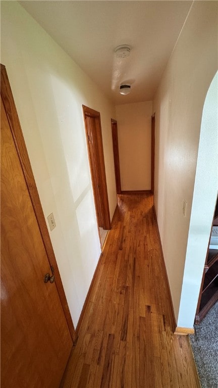 corridor with wood-type flooring