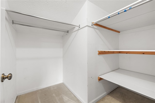 walk in closet with light colored carpet