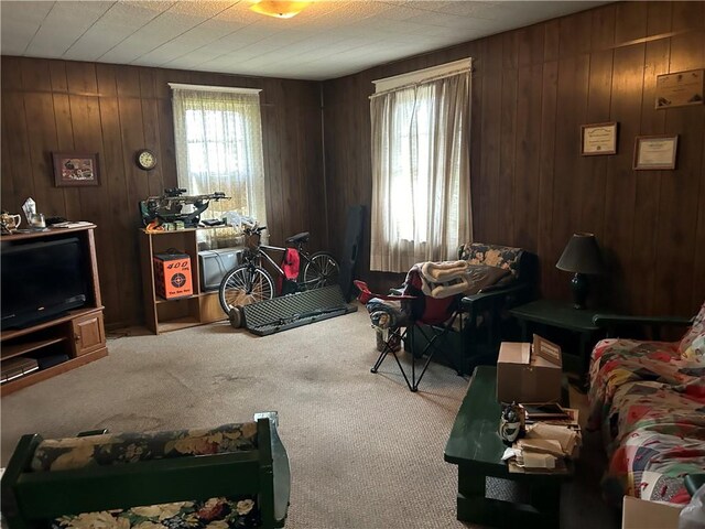 carpeted living room featuring wooden walls