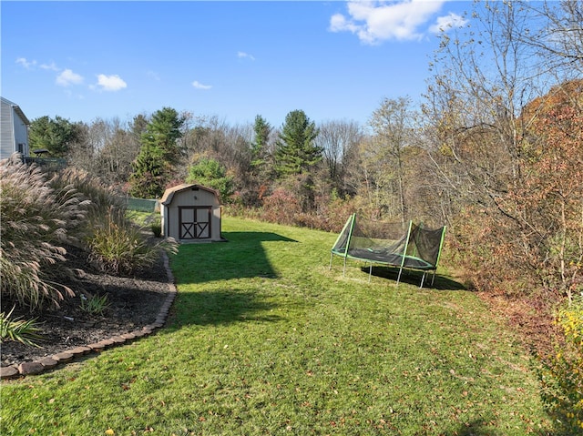 view of yard featuring a storage shed