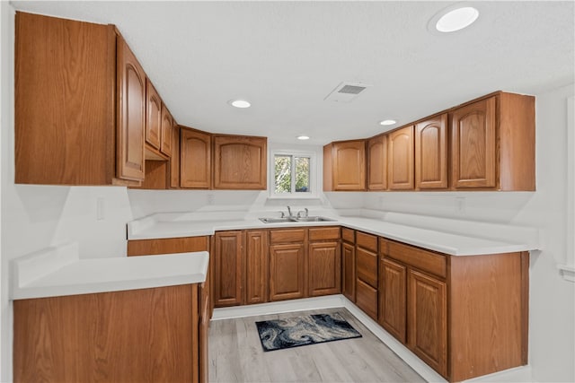 kitchen with sink and light wood-type flooring