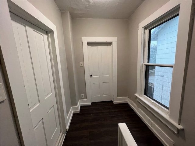 hall featuring dark hardwood / wood-style flooring