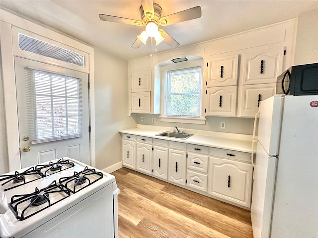 kitchen featuring light hardwood / wood-style flooring, white cabinetry, a healthy amount of sunlight, and white appliances