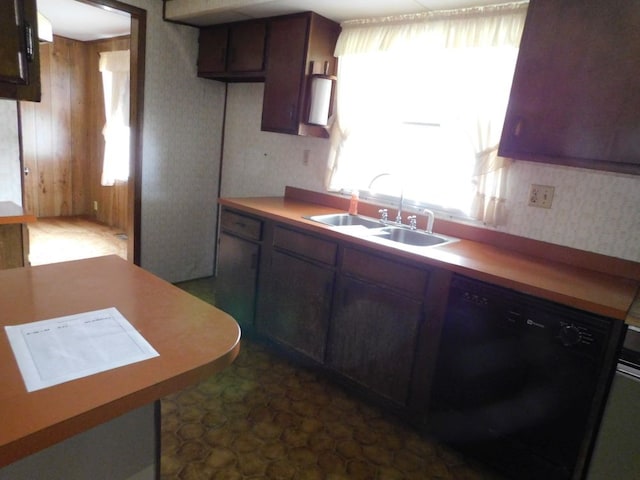 kitchen with dishwasher and sink