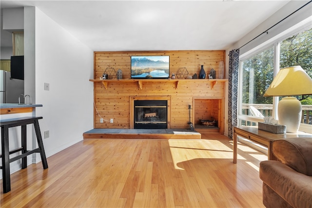 living room featuring wood walls and wood-type flooring