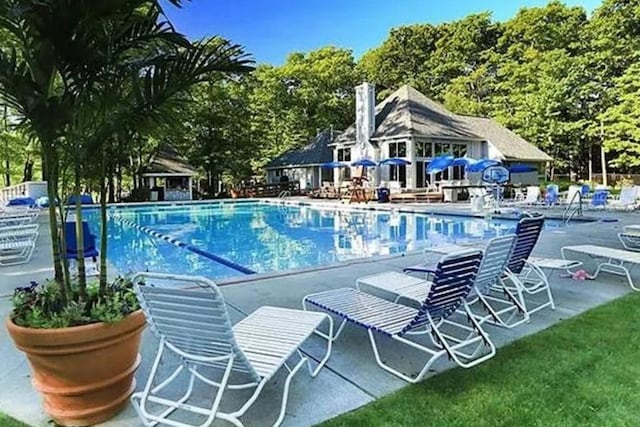 view of pool featuring a patio area