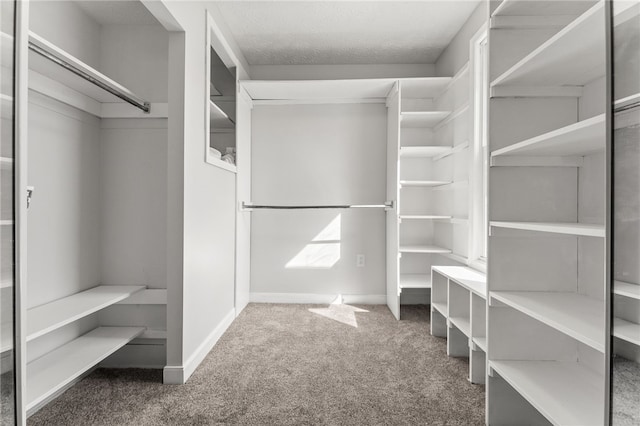 spacious closet featuring carpet floors