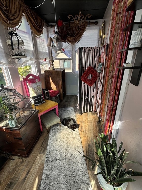 misc room with a wealth of natural light and hardwood / wood-style floors