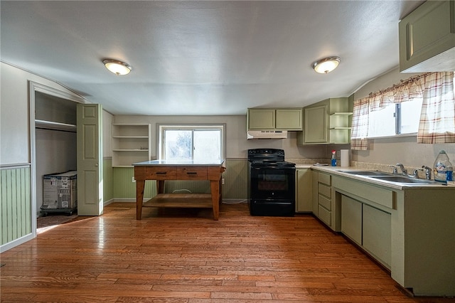 kitchen featuring hardwood / wood-style flooring, green cabinets, sink, and electric range