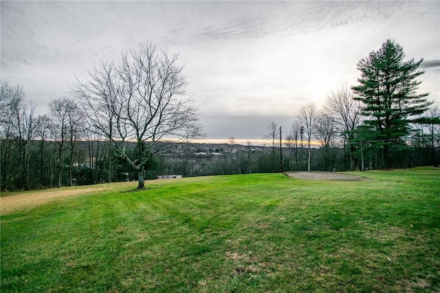 132 Random Rd, Corry, PA 16407 - view of green lawn