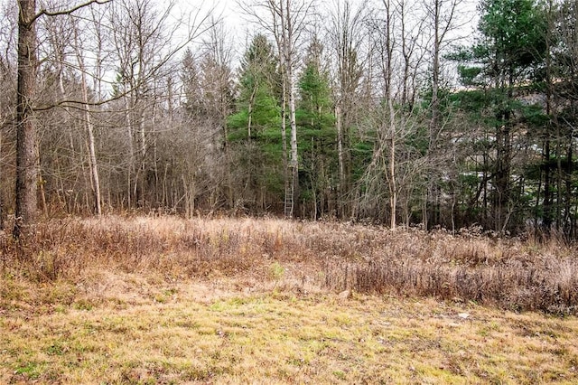 132 Random Rd, Corry, PA 16407 - view of nature