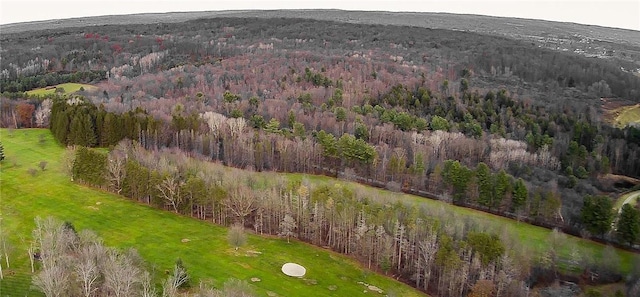 132 Random Rd, Corry, PA 16407 - aerial view of property's location with a forest