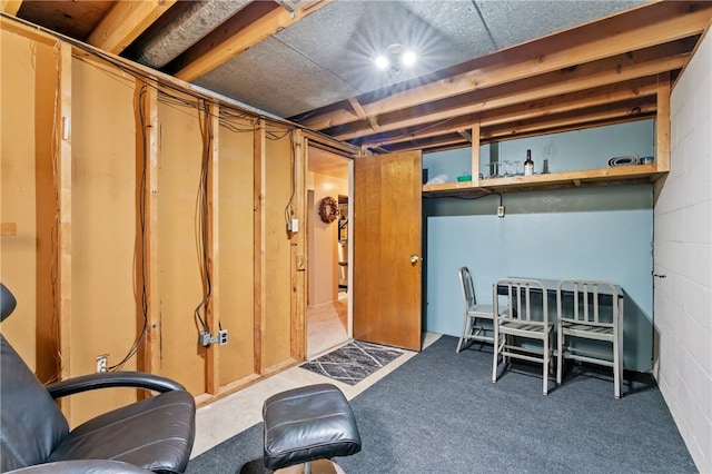 basement featuring carpet