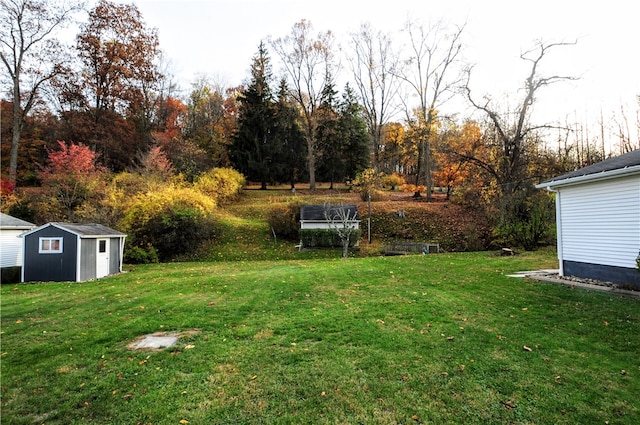 view of yard with a storage unit