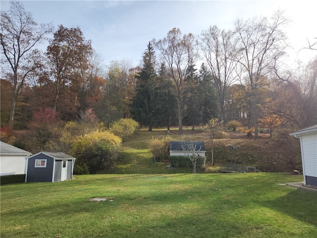 view of yard with a shed