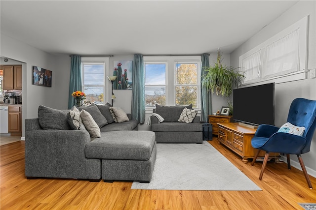 living room featuring hardwood / wood-style floors