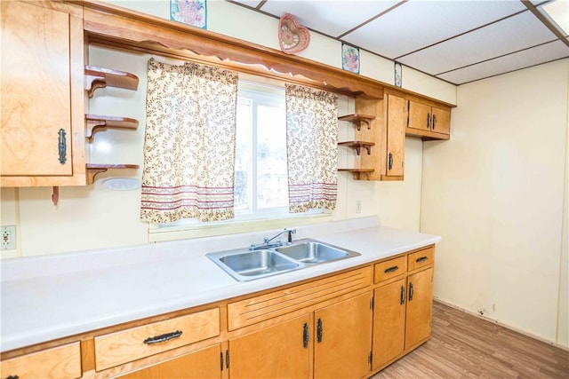 79-81 Lower Clinton St, Canoe/Banks Twps, PA 15772 - kitchen featuring open shelves, a sink, light countertops, and light wood-type flooring