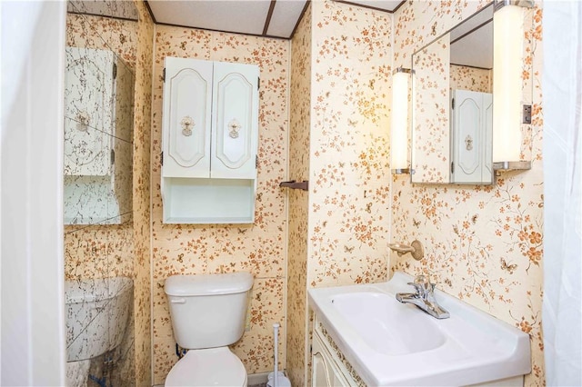 79-81 Lower Clinton St, Canoe/Banks Twps, PA 15772 - bathroom featuring toilet, wallpapered walls, and vanity