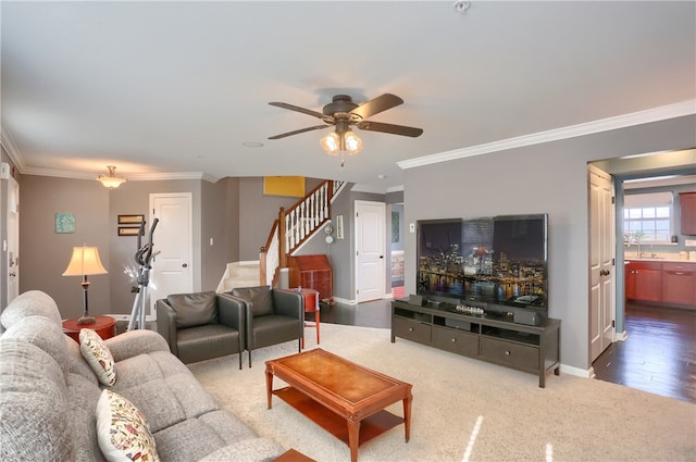 living room featuring sink, crown molding, wood-type flooring, and ceiling fan