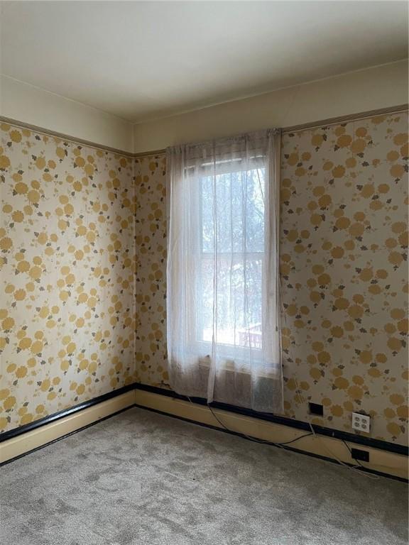 spare room with carpet floors