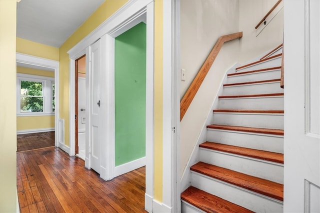 stairway with hardwood / wood-style floors