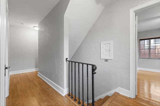 hall with lofted ceiling and hardwood / wood-style flooring