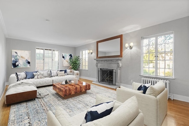 living room with light hardwood / wood-style flooring, ornamental molding, radiator, and a wealth of natural light