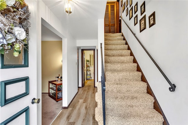 staircase with hardwood / wood-style flooring