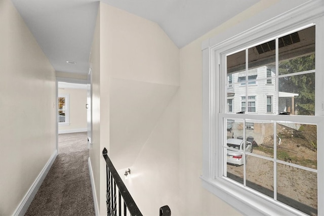 hallway featuring carpet and vaulted ceiling