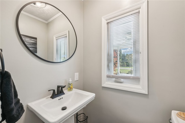 bathroom with sink, crown molding, and toilet