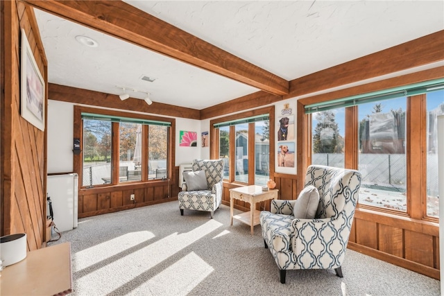 living area with wood walls, carpet, and a wealth of natural light